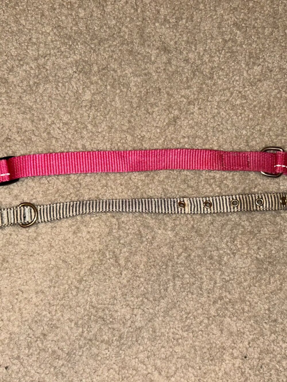 Small dog collars - Picture 2 of 2